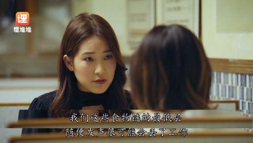 娱乐圈经典吃瓜小说,瓜田里的明星秘闻